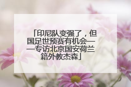印尼队变强了，但国足世预赛有机会——专访北京国安荷兰籍外教杰森